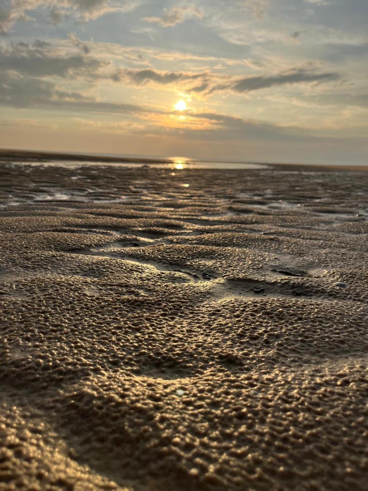 L Oree De La Pinede Hardelot Plage A 800 Metres De La Mer Sous Les Pins Exterior foto